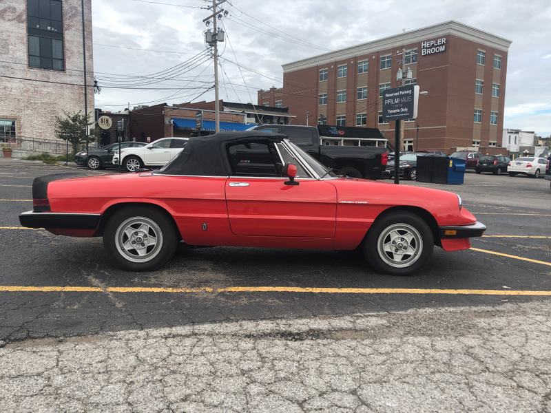 Illustration for article titled DOTS - Alfa Romeo in southern Illinois